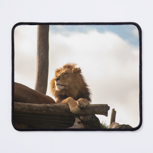 Item preview, Cats at Melbourne Zoo designed and sold by Kevin Bergin.