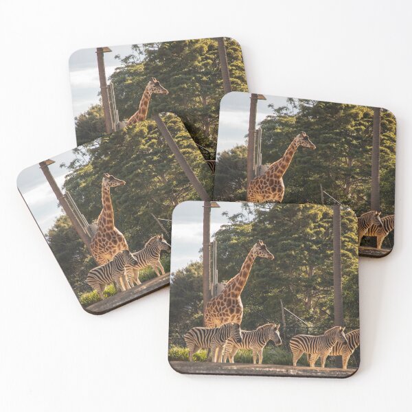 Item preview, Giraffes and Zebras designed and sold by Kevin Bergin.