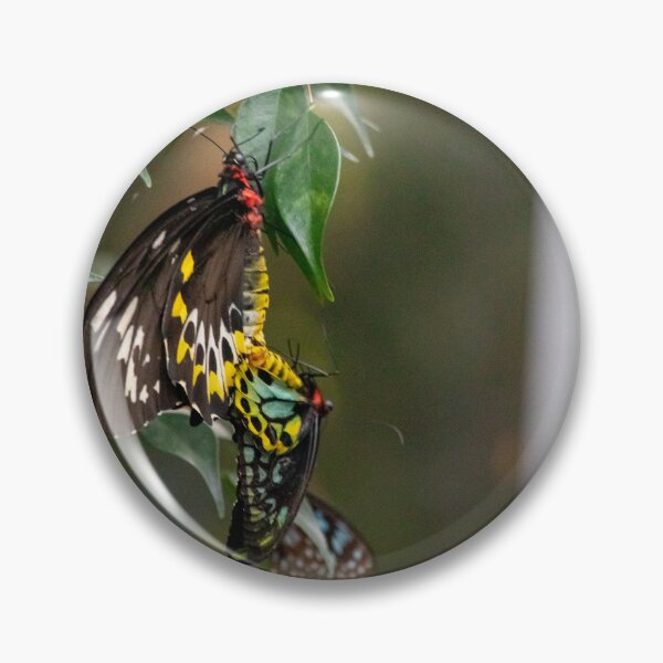 Item preview, Butterfly House designed and sold by Kevin Bergin.
