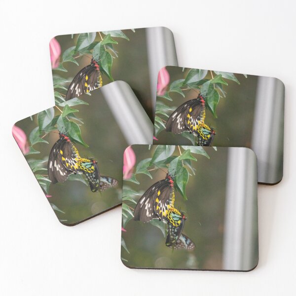 Item preview, Butterfly House designed and sold by Kevin Bergin.