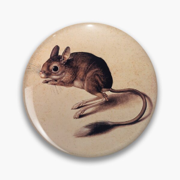 Item preview, Cute Jerboa vintage illustration designed and sold by Glimmersmith.