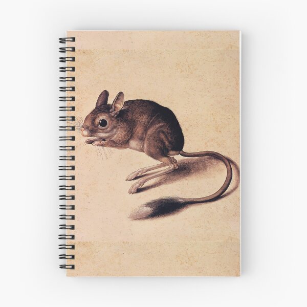 Item preview, Cute Jerboa vintage illustration designed and sold by Glimmersmith.