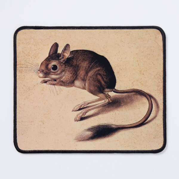 Item preview, Cute Jerboa vintage illustration designed and sold by Glimmersmith.