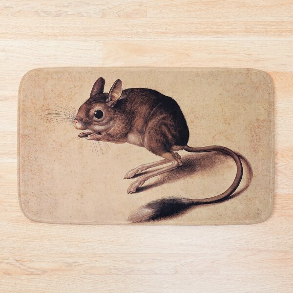 Item preview, Cute Jerboa vintage illustration designed and sold by Glimmersmith.