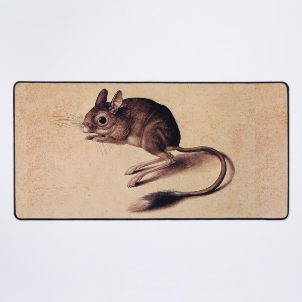 Item preview, Cute Jerboa vintage illustration designed and sold by Glimmersmith.