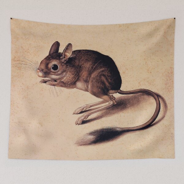 Item preview, Cute Jerboa vintage illustration designed and sold by Glimmersmith.