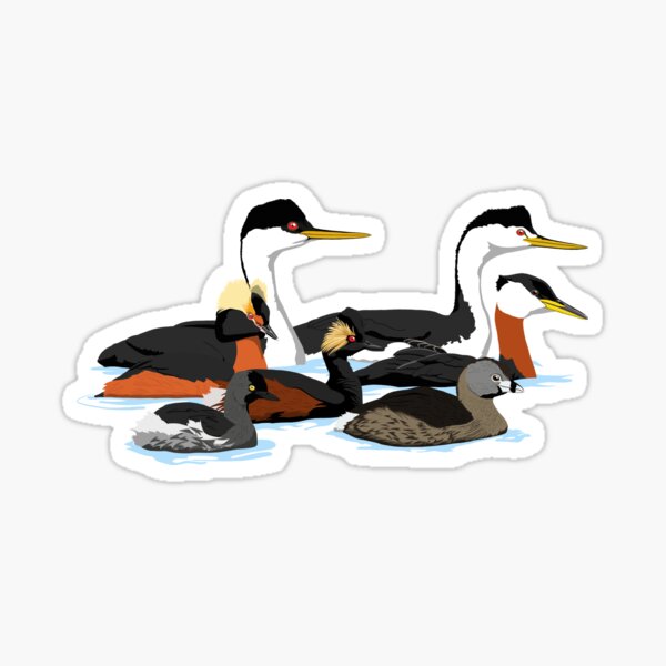 Item preview, Grebes of North America (no text) designed and sold by BennuBirdy.