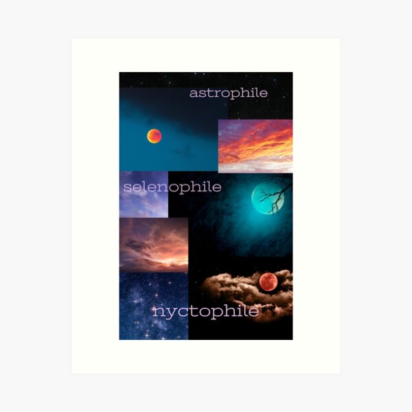 The Astrophile Stella by Nivriti Tripathi (ISBN: 9789394848XXX)