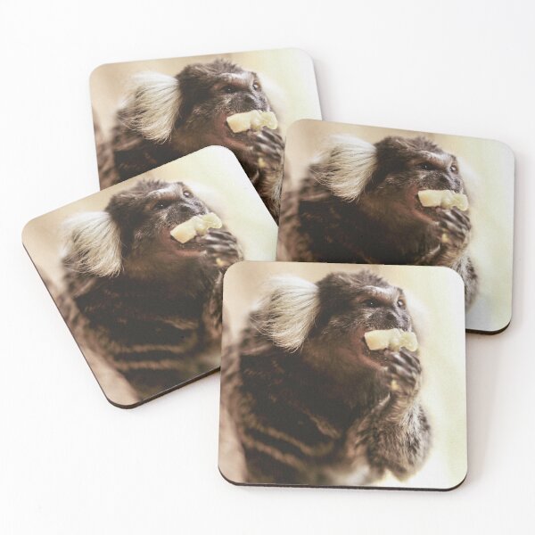 Item preview, Marmoset | Unique Beautiful Travelling Home Decor | Phone Cases Stickers Wall Prints | Scottish Travel Photographer  | ZOE DARGUE PHOTOGRAPHY | Glasgow Travel Photographer  designed and sold by Zoe Dargue Photography.