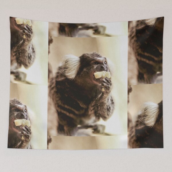 Item preview, Marmoset | Unique Beautiful Travelling Home Decor | Phone Cases Stickers Wall Prints | Scottish Travel Photographer  | ZOE DARGUE PHOTOGRAPHY | Glasgow Travel Photographer  designed and sold by Zoe Dargue Photography.