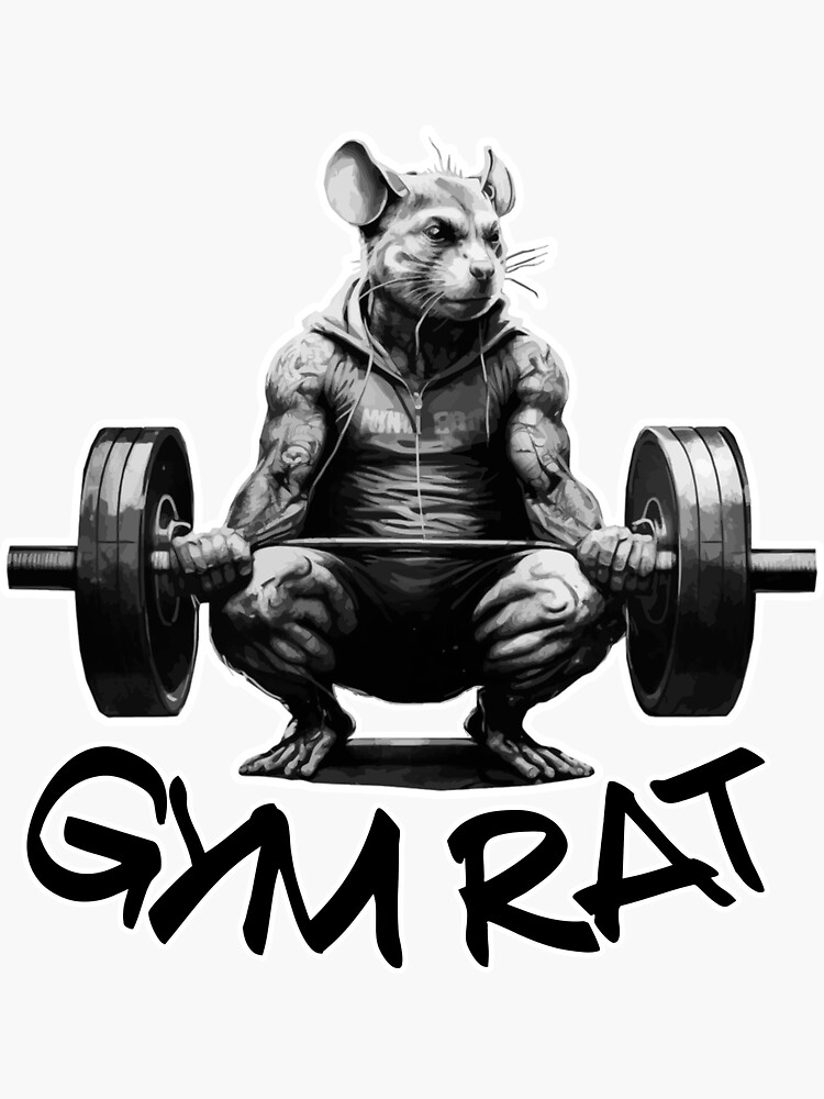 Deadlift Rat Sticker for Sale by teaandink