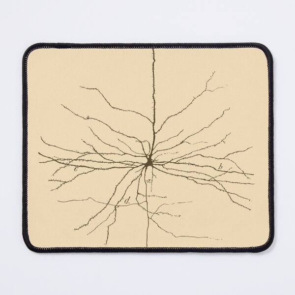 Item preview, Pyramidal Cell in Cerebral Motor Cortex designed and sold by boltjesdesign.