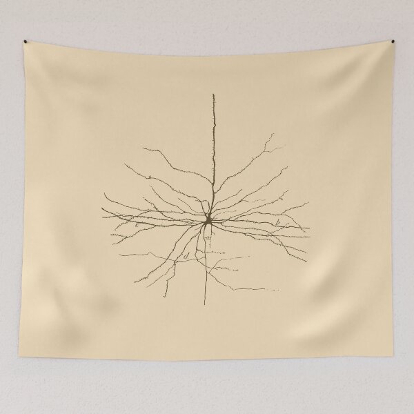 Item preview, Pyramidal Cell in Cerebral Motor Cortex designed and sold by boltjesdesign.
