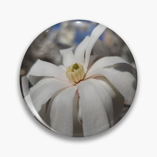 Item preview, Single White Magnolia Blossom designed and sold by Jeanne Kramer-Smyth.