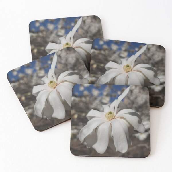 Item preview, Single White Magnolia Blossom designed and sold by Jeanne Kramer-Smyth.