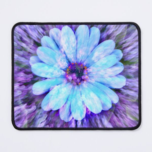 Item preview, Daisy and Alyssum designed and sold by Linda Bianic.