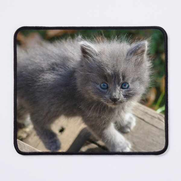 Item preview, Spruce designed and sold by OhSnapPhoto.