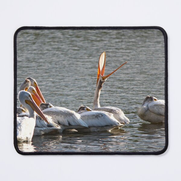 Item preview, Chilling Pelicans designed and sold by Alex Baron.