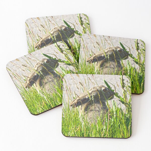 Item preview, Rabbit in the Grass designed and sold by Alex Baron.