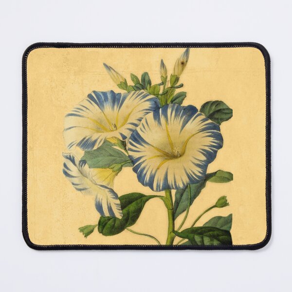 Item preview, Convolvulus Tricolor designed and sold by ptMaker.