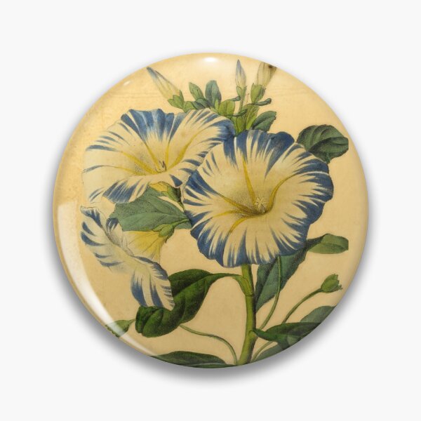Artikelvorschau, Convolvulus Tricolor mit Details entworfen und verkauft von ptMaker.