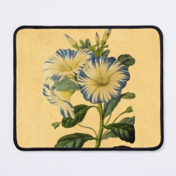 Item preview, Convolvulus Tricolor With Details designed and sold by ptMaker.