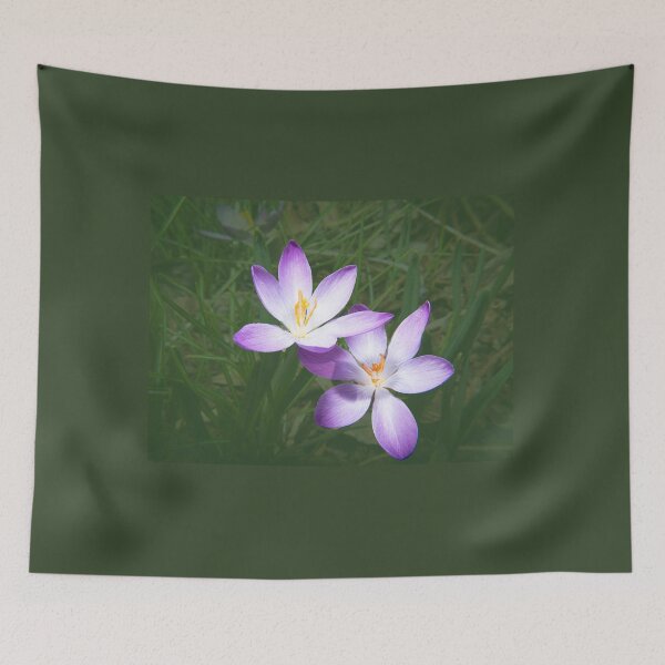 Item preview, Early crocus flower designed and sold by annasofia.