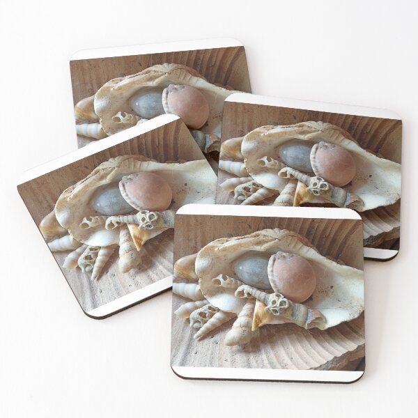 Item preview, seashell collection designed and sold by vibeno1.