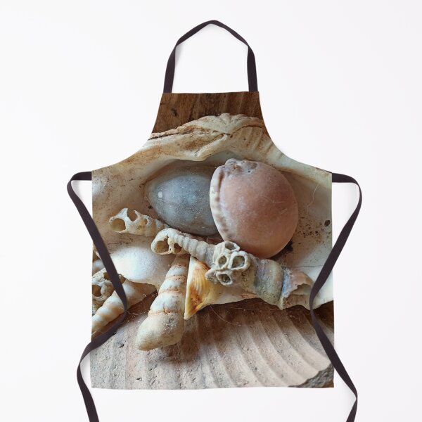 Item preview, seashell collection designed and sold by vibeno1.