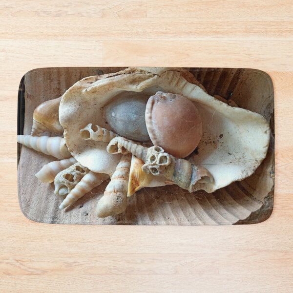 Item preview, seashell collection designed and sold by vibeno1.