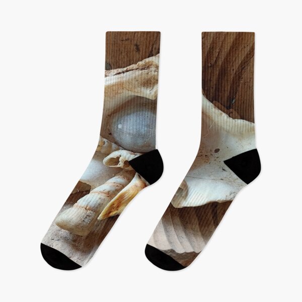 Item preview, seashell collection designed and sold by vibeno1.