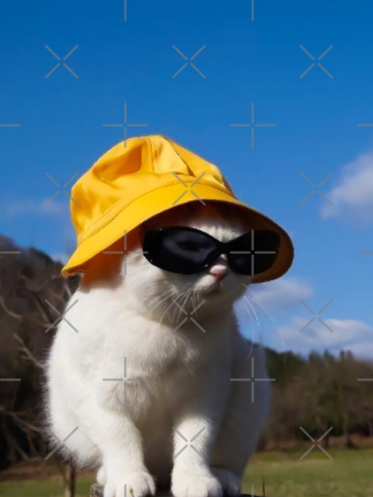 Bucket Hat Cat - Wearing a Sunglasses Meme Happy Kitten iPhone Case for  Sale by Berrygomes