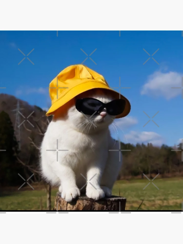 Bucket Hat Cat - Wearing a Sunglasses Meme Happy Kitten | Kids T-Shirt