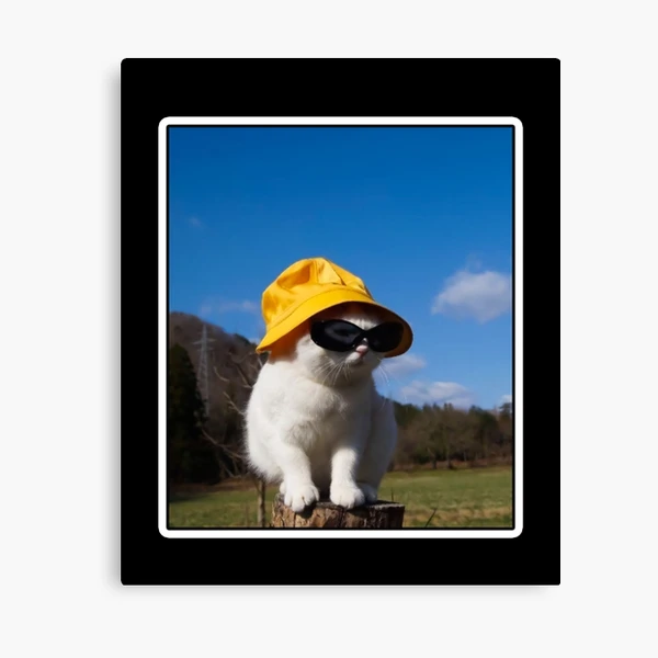 Bucket Hat Cat - Wearing a Sunglasses Meme Happy Kitten