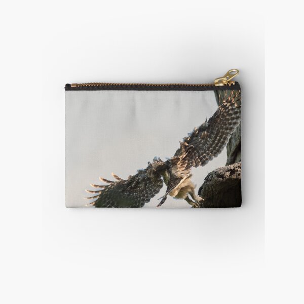 Item preview, Mama Barred Owl Flying In designed and sold by Puttaswamy Ravishankar.