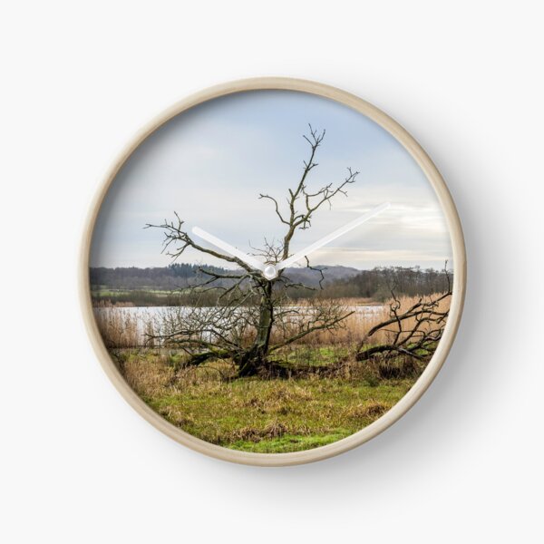 Item preview, Naked Tree at the Lake shore in Scandinavia designed and sold by MejerPhotoArt.