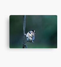 TITS Canvas Print