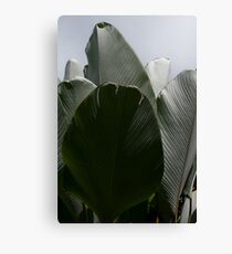 Solarization Canvas Print