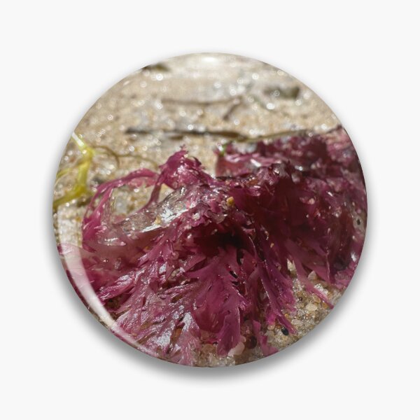 Artikelvorschau, Seaweed entworfen und verkauft von Nicole Sumner.
