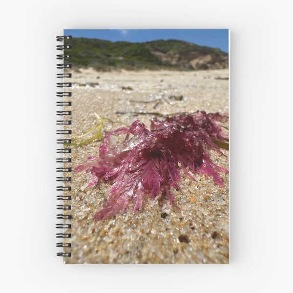 Item preview, Seaweed designed and sold by Nicole Sumner.