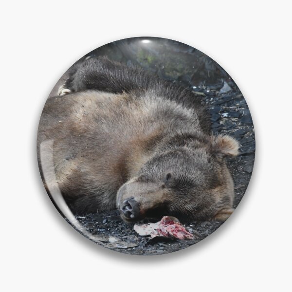 Item preview, Snoozing Bear designed and sold by EaglemasterArts.