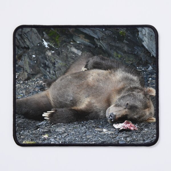 Item preview, Snoozing Bear designed and sold by EaglemasterArts.