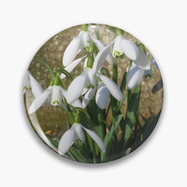 Item preview, A Clump of Snowdrops designed and sold by wiggyofipswich.