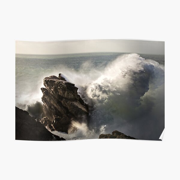 The stone whale Poster
