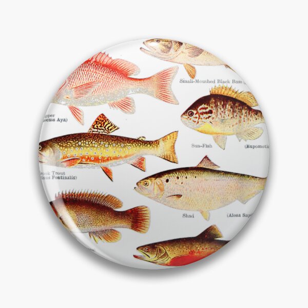 Item preview, Sea Bass, Red Snapper, Brook Trout, Burgall, Bullhead designed and sold by Chic-Astral-Ca.