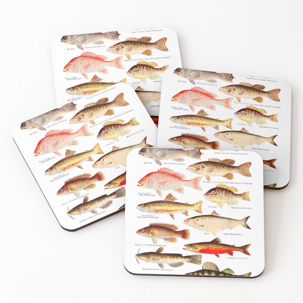 Item preview, Sea Bass, Red Snapper, Brook Trout, Burgall, Bullhead designed and sold by Chic-Astral-Ca.