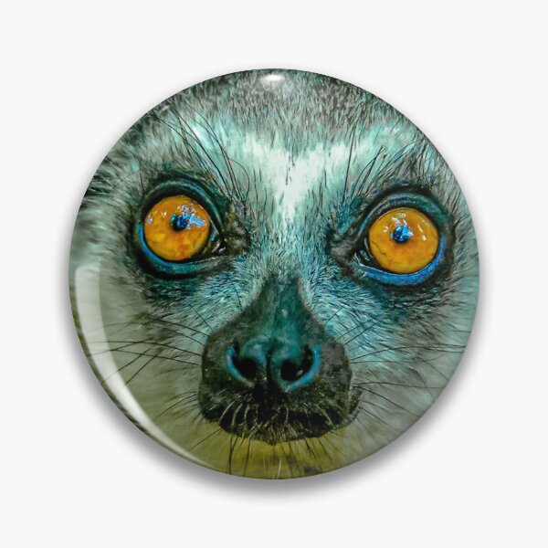 Item preview, Eyes of a Ring-tailed Lemur designed and sold by Dalyndigital Photography.