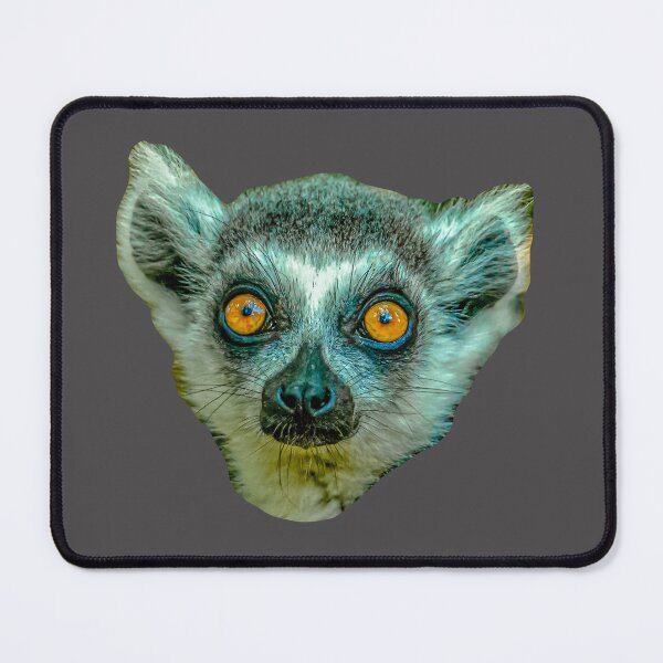 Item preview, Eyes of a Ring-tailed Lemur designed and sold by Dalyndigital Photography.