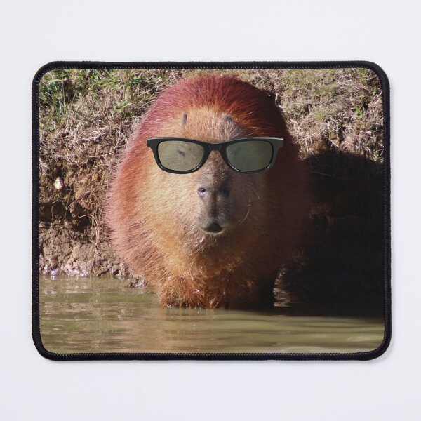 Item preview, The Coolest Capybara designed and sold by Ladymoose.