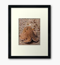 Octo Framed Print